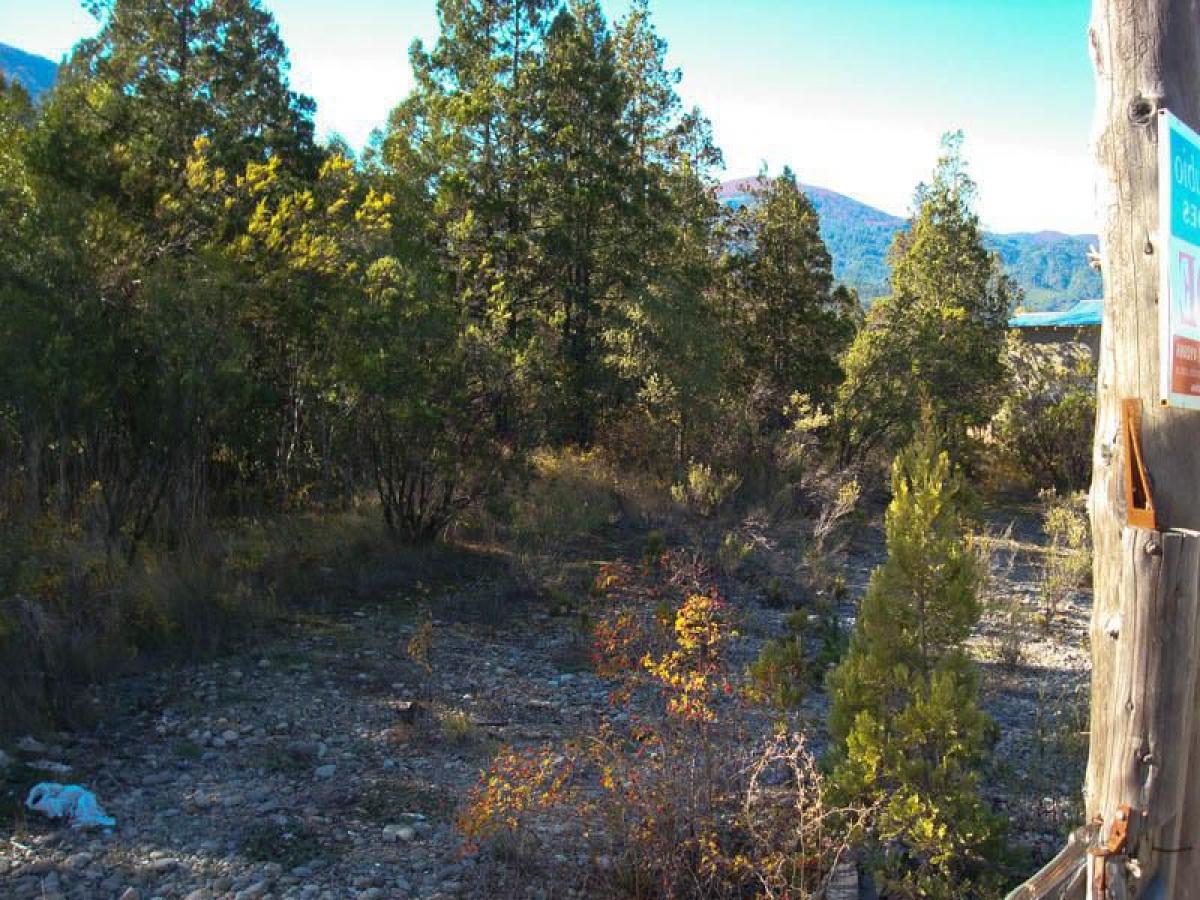  Commercial property in Chubut, Argentina No. 25479