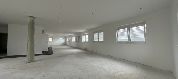 Propiedad comercial en Kalsdorf bei Graz, Austria 494 m² No. 130309 25