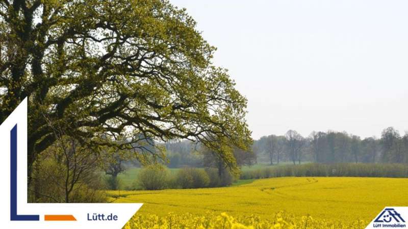 Grundstück in Rendsburg-Eckernförde, Germany, Nr. 303356