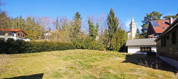  Land in Tullnerbach, Austria No. 134104 7