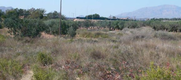 Terreno em San Vicente del Raspeig, Spain 4700 m² N.º 22300 10