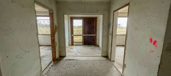  مستودع في Elbe-Elster, Germany 1794متر مربع رقم 75742 2