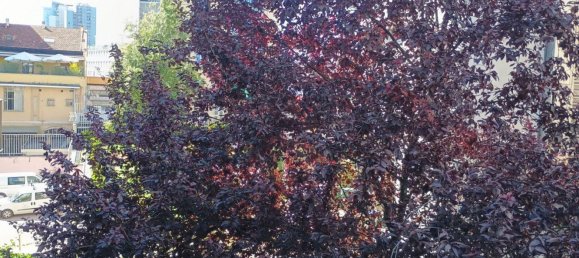 Estudio en Turin, Italy No. 276275 12