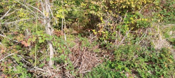 Casa de 3 divisões em Scagnello, Italy N.º 261114 16