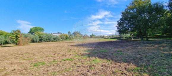 Земельный участок в Канаш де Санта Мария, Португалия № 190389 3