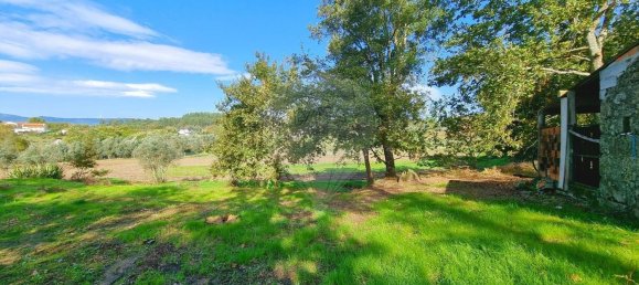 Земельный участок в Канаш де Санта Мария, Португалия № 190389 2