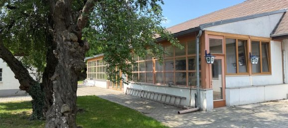 Propriété commerciale à Zurndorf, Austria 896m² No. 205975 9