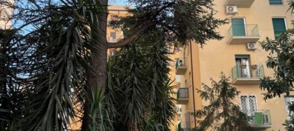 2 bedrooms Apartment in Rome, Italy No. 12652 5