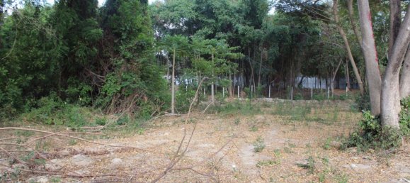 Commercial property in Pattaya, Thailand No. 1884 5