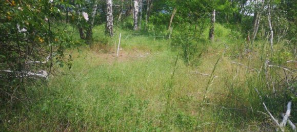 Земельный участок в Северная Саксония, Германия № 347770 5