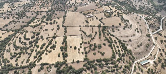 5غرفة فيلا في Modica, Italy رقم 231784 32