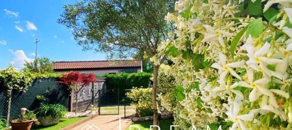 3 rooms Villa in Castagnaro, Italy No. 155168 3