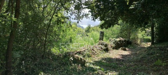  قطعة أرض في Marco de Canaveses, Portugal 585متر مربع رقم 39568 21