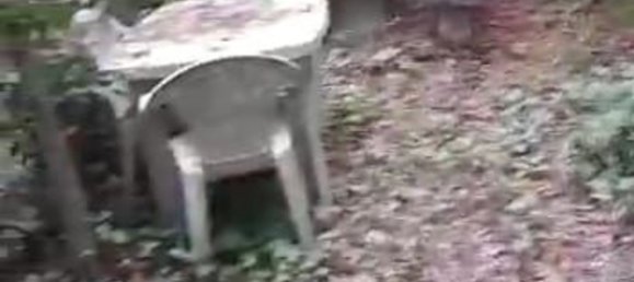 14562m² Land in Casalborgone, Italy No. 256055 9