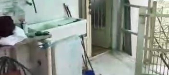 14562m² Land in Casalborgone, Italy No. 256055 5