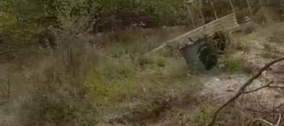 14562m² Land in Casalborgone, Italy No. 256055 3