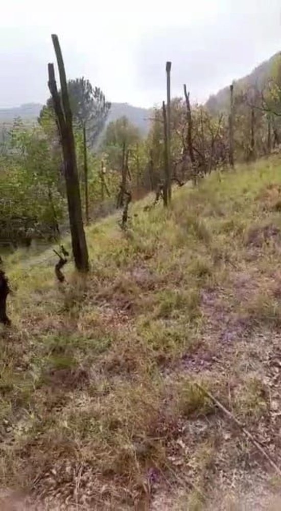 14562m² Land in Casalborgone, Italy No. 256055