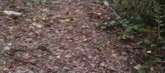 14562m² Land in Casalborgone, Italy No. 256055 6