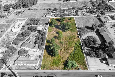  Land in Salvaterra de Magos, Portugal No. 77454