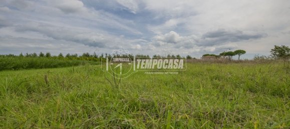 3 rooms Duplex in Cesena, Italy No. 260570 14