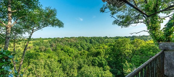 6 bedrooms House in Saint-Fiacre-sur-Maine, France No. 339808 12