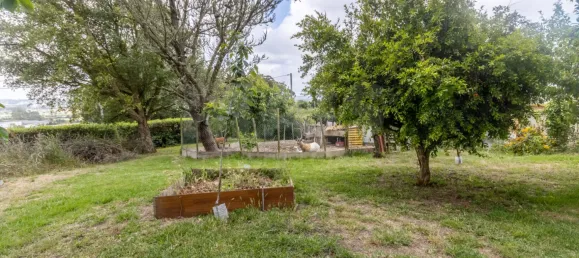 5 bedrooms House in Caldas da Rainha, Portugal No. 143069 46