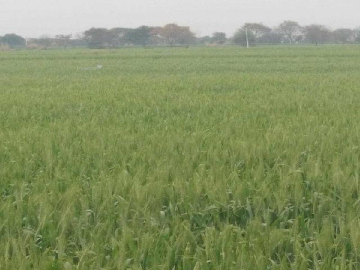 Terreno em Aligarh, India N.º 34776