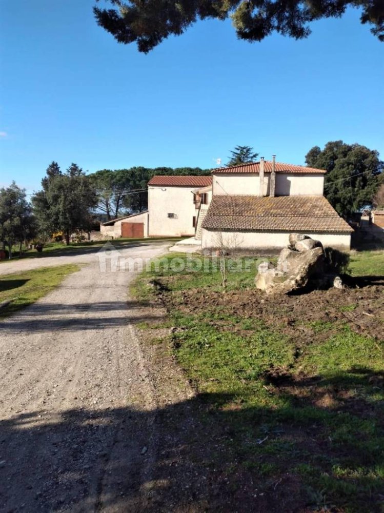 1 room Building in Grosseto, Italy No. 156590