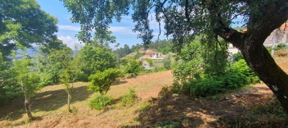 Студия в Аркуш ди Валдевеш, Португалия № 20306 13