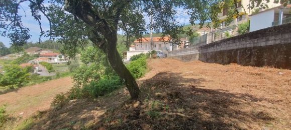 Студия в Аркуш ди Валдевеш, Португалия № 20306 14