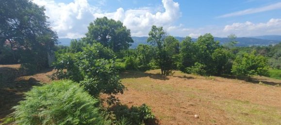 Студия в Аркуш ди Валдевеш, Португалия № 20306 6