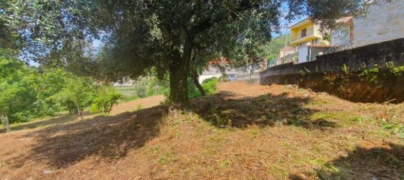 Студия в Аркуш ди Валдевеш, Португалия № 20306 8