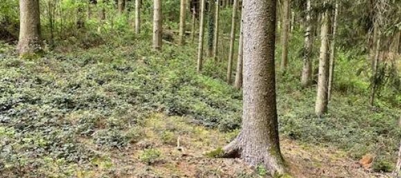 Земельный участок 22570м² в Pfaffenhofen an der Ilm, Германия № 75858 7