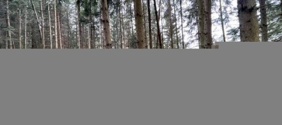 Земельный участок 22570м² в Pfaffenhofen an der Ilm, Германия № 75858 8