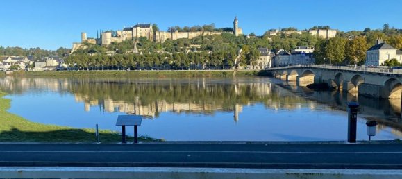 Дом с 5 спальнями в Шинон, Франция № 219562 15