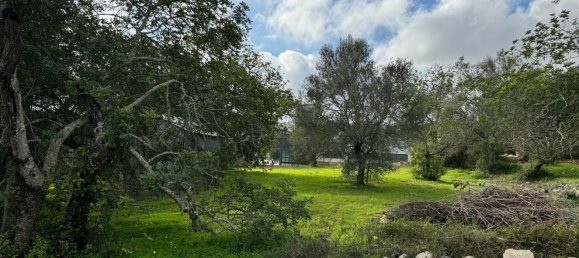  Land in Sao Bras de Alportel, Portugal No. 189975 4