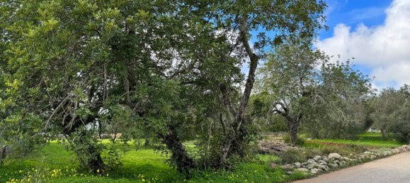  Land in Sao Bras de Alportel, Portugal No. 189975 5