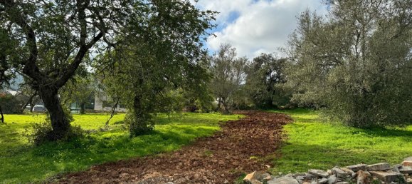  Land in Sao Bras de Alportel, Portugal No. 189975 3