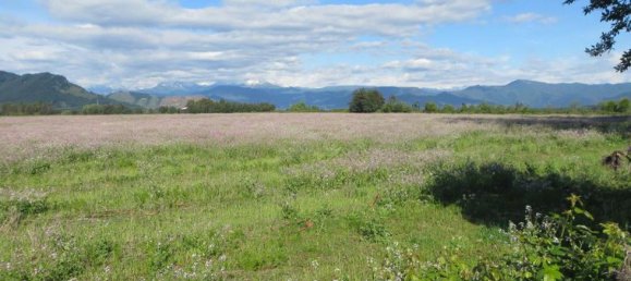  Land in Maule, Chile No. 1019 2