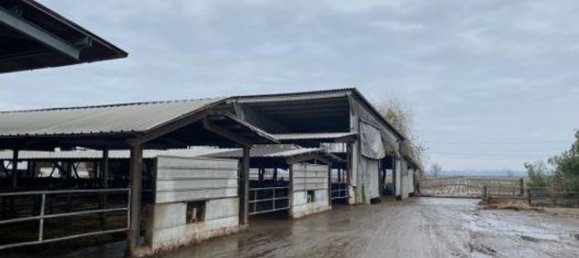 Almacén en Senna Lodigiana, Italy 15605 m² No. 338405 13