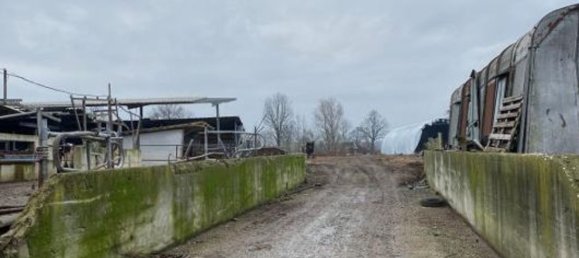 Almacén en Senna Lodigiana, Italy 15605 m² No. 338405 5