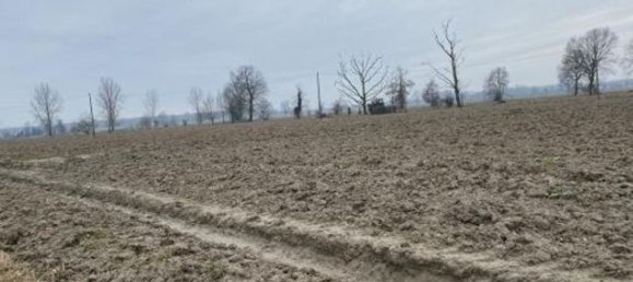 Almacén en Senna Lodigiana, Italy 15605 m² No. 338405 20