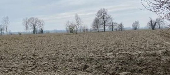 Almacén en Senna Lodigiana, Italy 15605 m² No. 338405 10