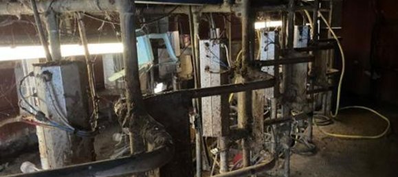 Almacén en Senna Lodigiana, Italy 15605 m² No. 338405 3