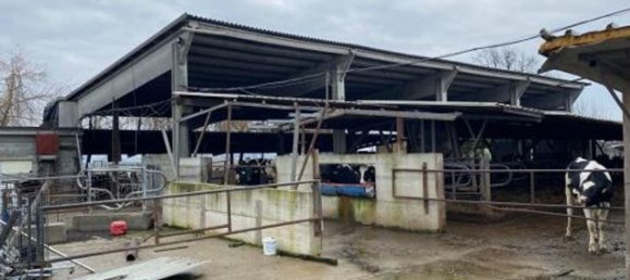 Almacén en Senna Lodigiana, Italy 15605 m² No. 338405 12