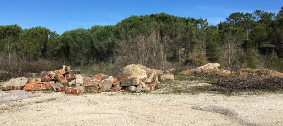  قطعة أرض في Cernache, Portugal 4950متر مربع رقم 73987 4