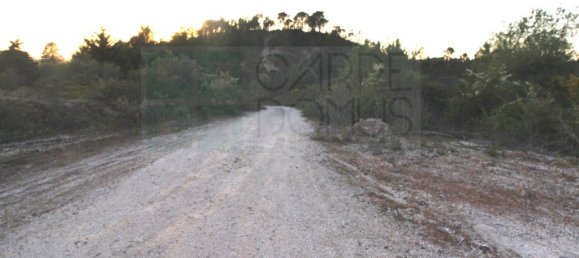  قطعة أرض في Cernache, Portugal 4950متر مربع رقم 73987 8