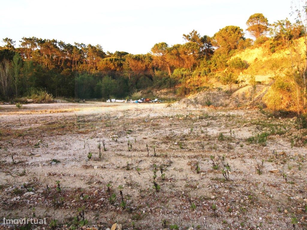  قطعة أرض في Cernache, Portugal 4950متر مربع رقم 73987