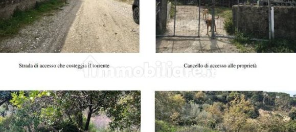 3 Schlafzimmer Villa in Messina, Italy, Nr. 38288 5