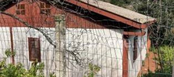 3 Schlafzimmer Villa in Messina, Italy, Nr. 38288 3